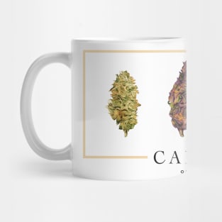 Organic Medicine Mug